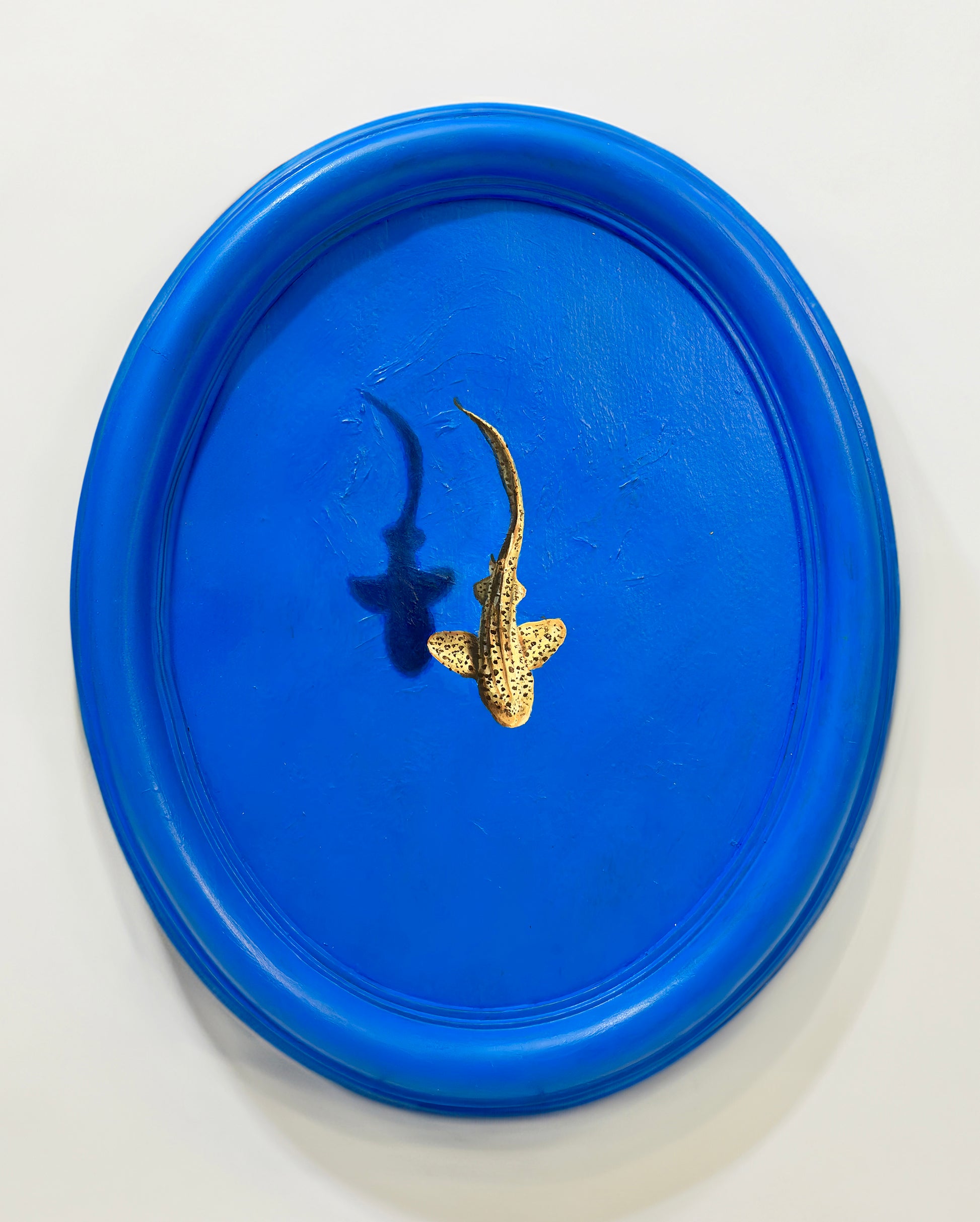 What’s down there that’s so special?