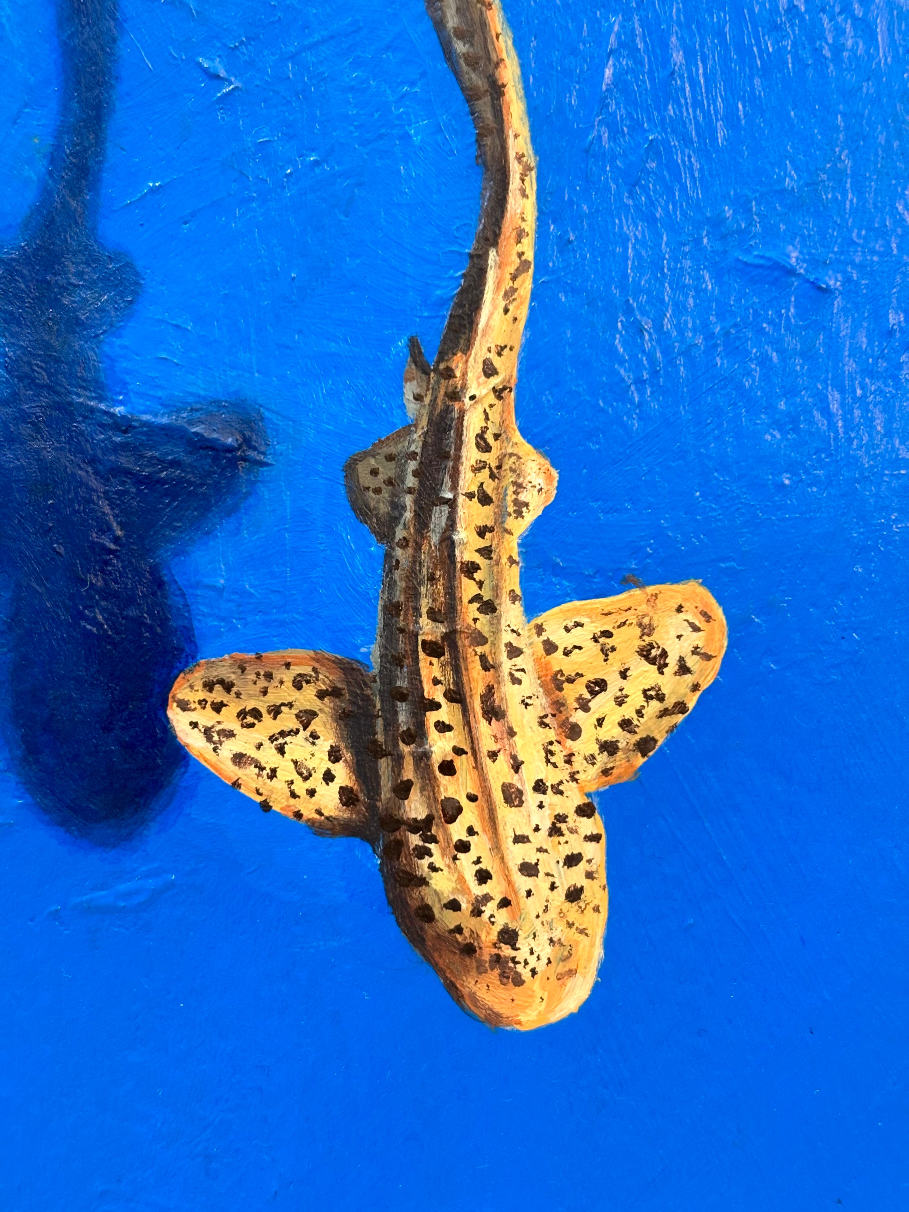 What’s down there that’s so special?